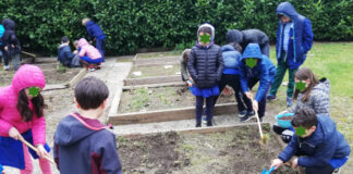 Osservare e imparare dalla natura