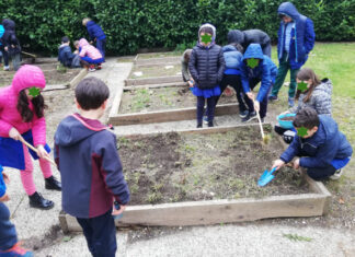 Osservare e imparare dalla natura