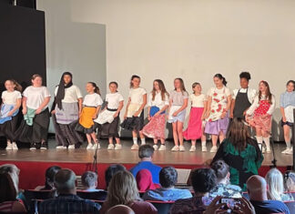 Teatro, scelta didattica complementare