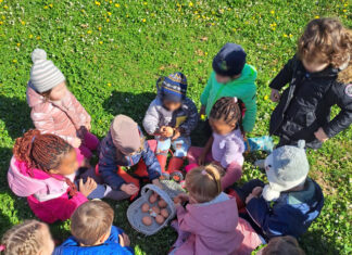 La ricerca delle uova