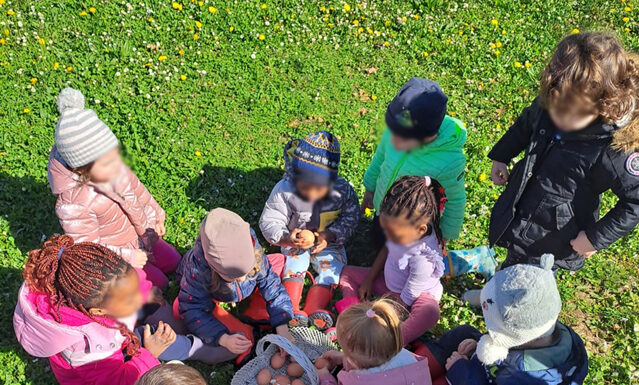 La ricerca delle uova