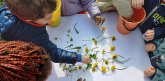 Risveglio della primavera