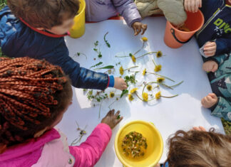 Risveglio della primavera