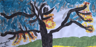 Giardinieri di domani