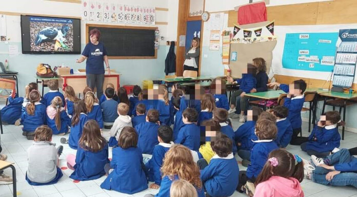 Insegnare ai bambini la cura dell’ambiente