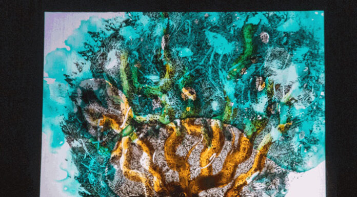 “I racconti di Gaia”