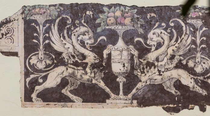 Treviso città dipinta