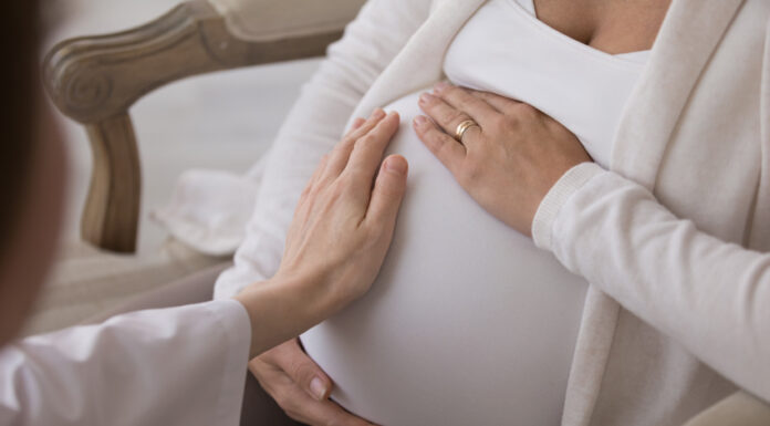 Le doule, scopriamo chi sono e cosa fanno