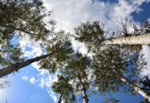 La Storga va in classe…