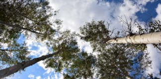 La classe va alla Storga