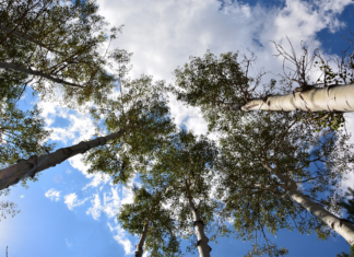 La Storga va in classe…