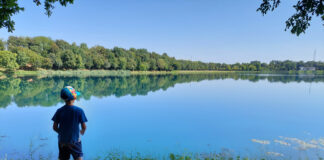 Passeggiate Treviso (nuovo Parco di Paese)