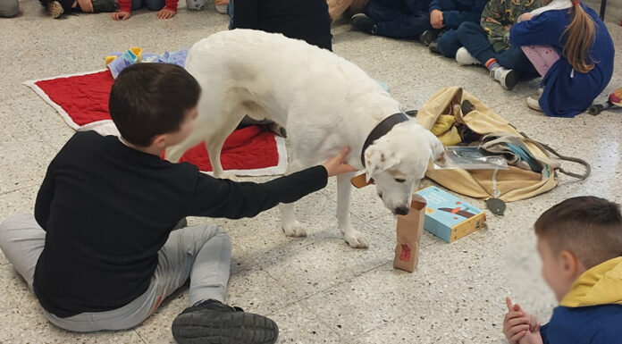Salute, educazione e scoperta del territorio
