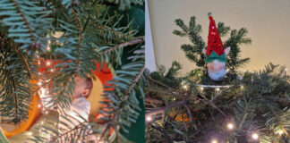 Fino ad arrivare al numero 24