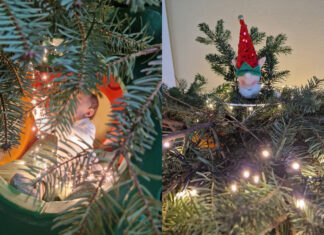 Fino ad arrivare al numero 24