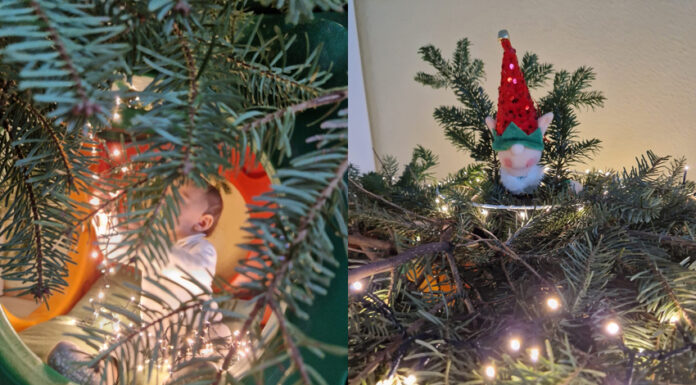 Fino ad arrivare al numero 24