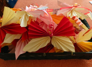 Un ricco autunno alla Primaria Collodi