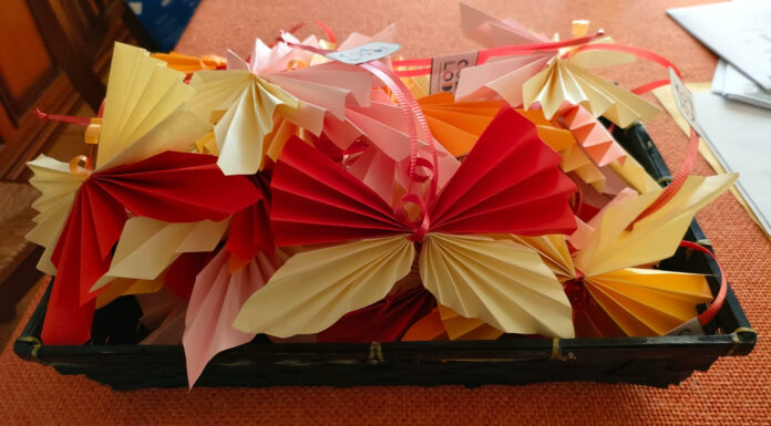 Un ricco autunno alla Primaria Collodi