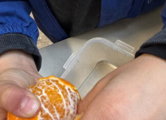 A scuola con una merenda sana