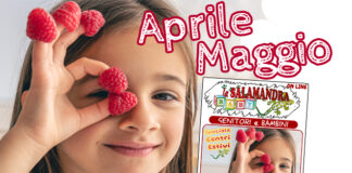 “la Salamandra Baby” n.55