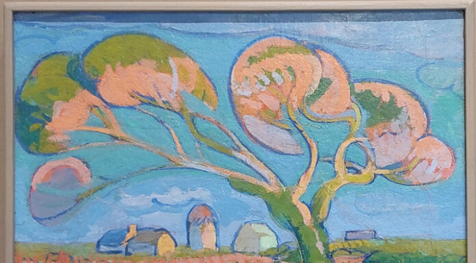 Gli alunni delle “Prati” al Museo Bailo