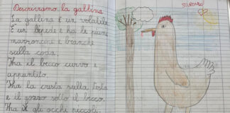 Un viaggio tra le materie… e gli animali!