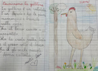 Un viaggio tra le materie… e gli animali!