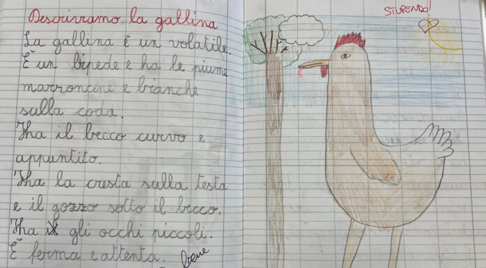 Un viaggio tra le materie… e gli animali!