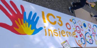 IC3 Insieme