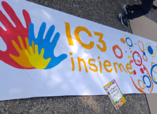 IC3 Insieme