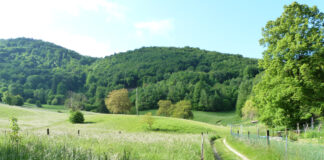 Passeggiate Treviso (Anello delle Cirulette)