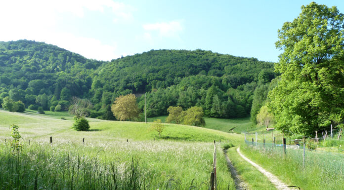 Passeggiate Treviso (Anello delle Cirulette)