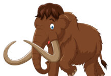 Archeologi per un giorno