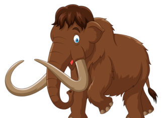 Archeologi per un giorno