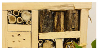 Casette per gli insetti e “butterfly lab”