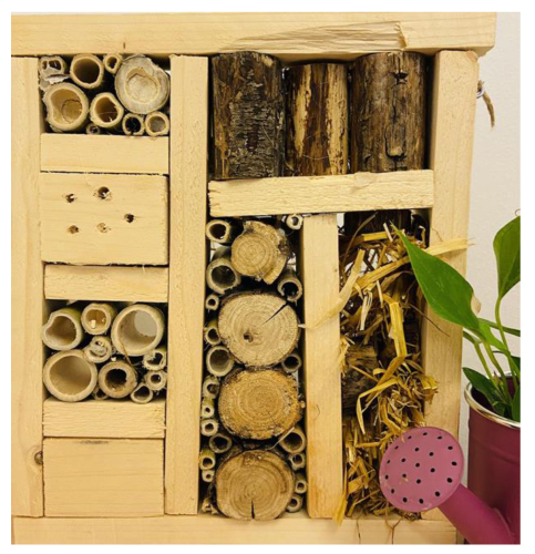 casette per gli insetti