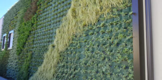 Green wall alla Primaria “Fanna”