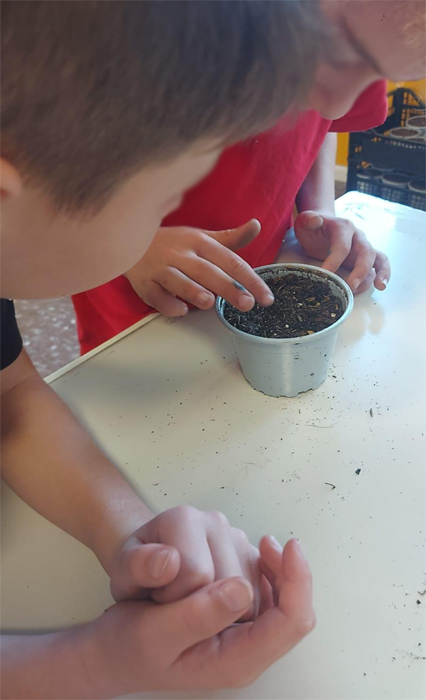 articolo Salamandra Novembre: Orto Antico/inaugurazione Wall e M