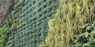 Inaugurato il Green Wall