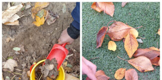 Indoor e outdoor: con la terra tra le mani