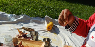 Giocare con l’autunno