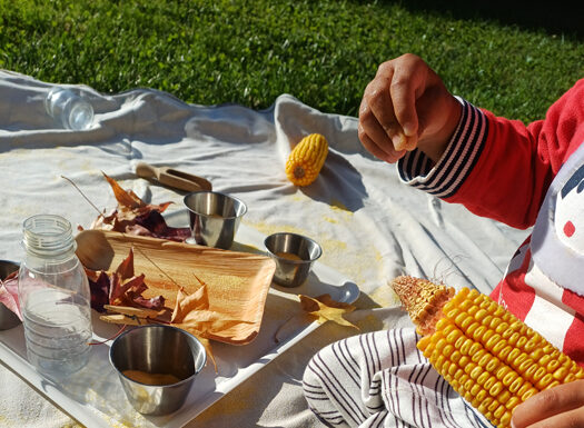 Giocare con l’autunno