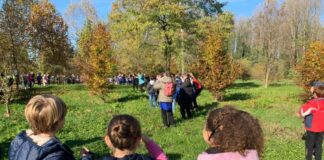La scuola Azzoni festeggia San Martino