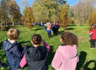 La scuola Azzoni festeggia San Martino
