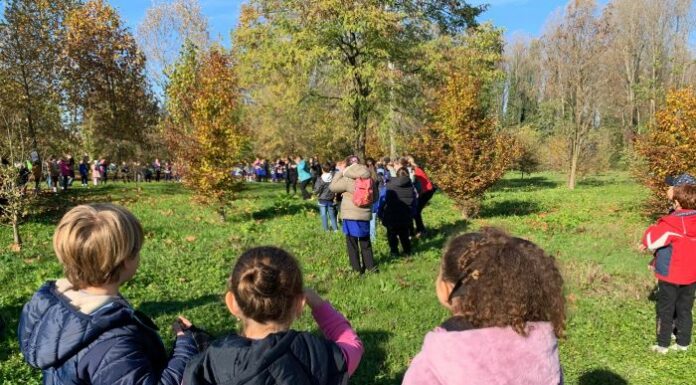 La scuola Azzoni festeggia San Martino