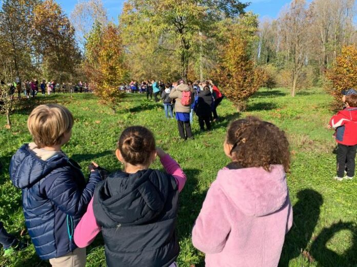 azzoni-san martino (4)