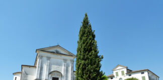 Passeggiate Treviso (Asolo pianeggiante)