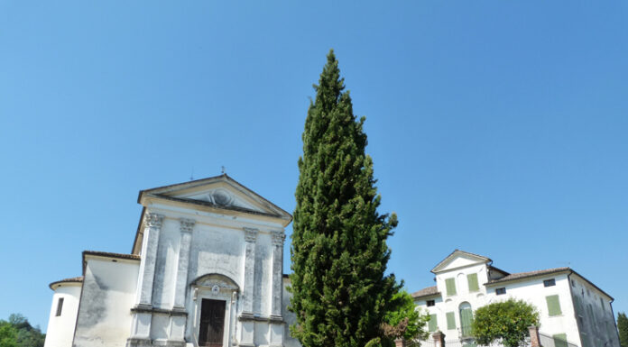 Passeggiate Treviso (Asolo pianeggiante)