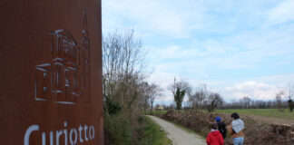 Passeggiate Treviso (Riese Pio X)