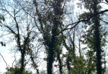 Crescere a contatto con la natura